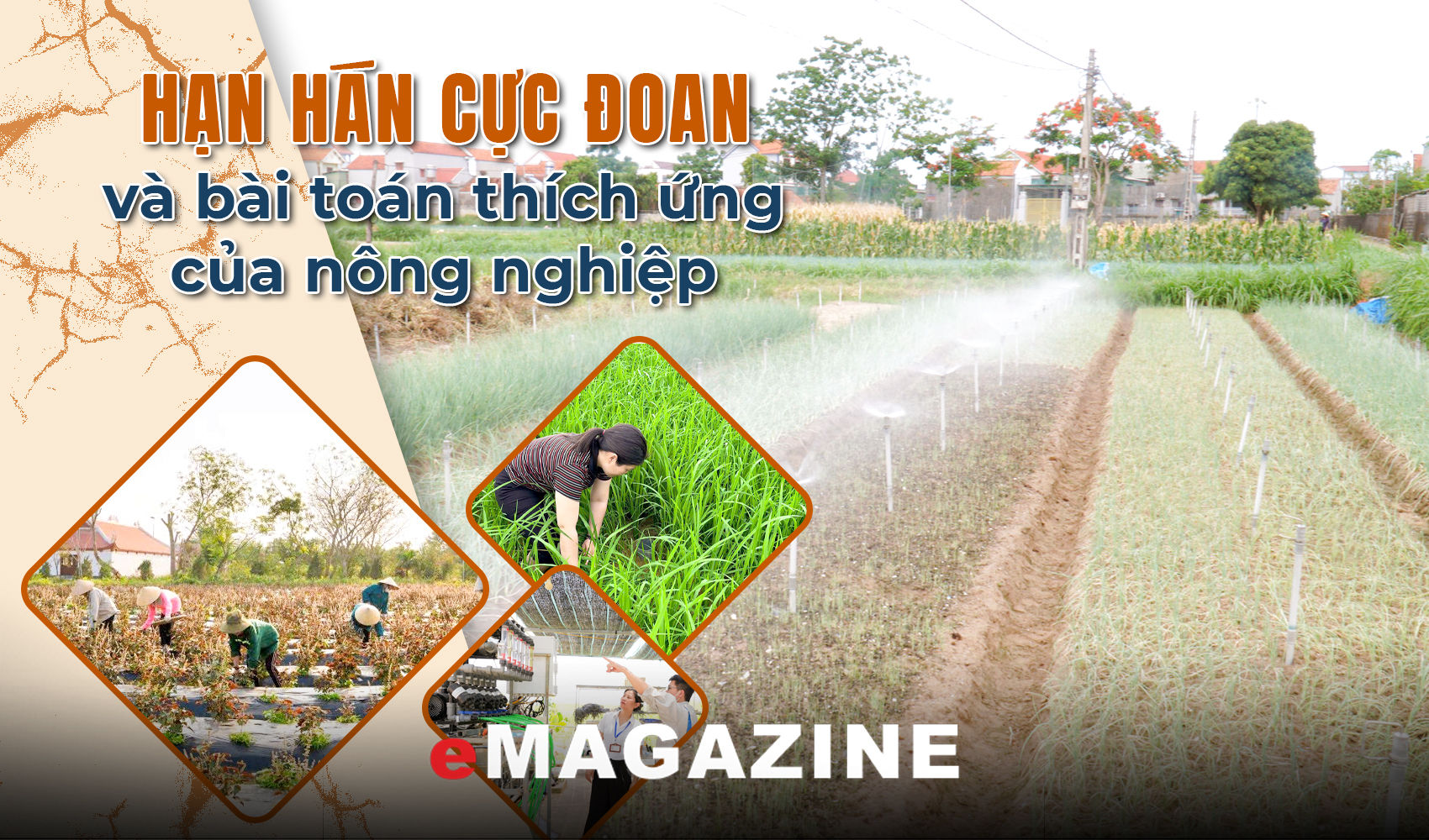 Kỳ 3: Những mô hình thích ứng với hạn hán