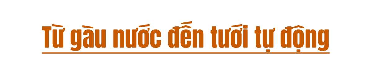 hanhancucdoan-b3-tit1.png