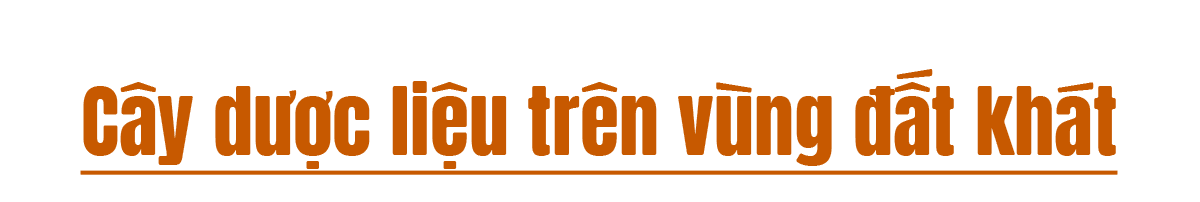 hanhancucdoan-b3-tit2.png