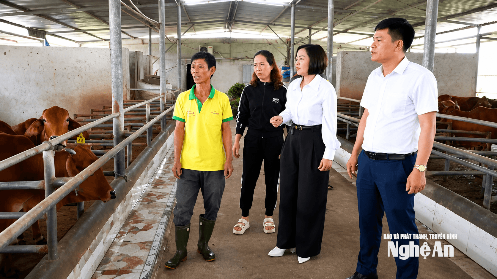 Cán bộ xã Hoa Quân thăm mô hình chăn nuôi đại gia súc. Ảnh Hoàng Việt Anh