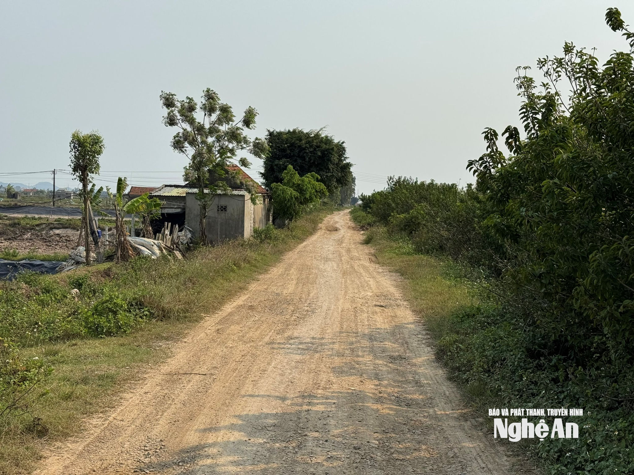 đê sông Quỳnh Anh