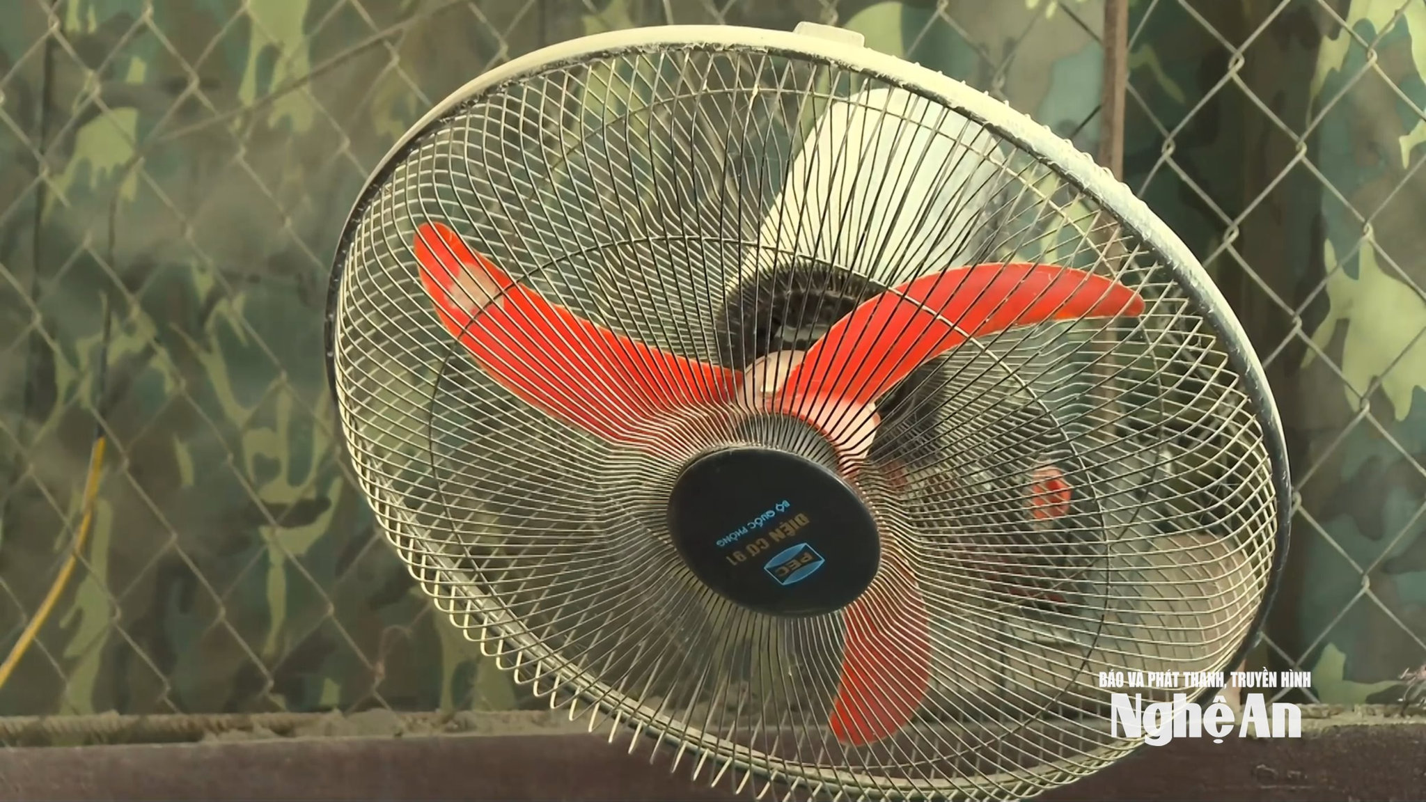 Tỉnh lộ 539B8