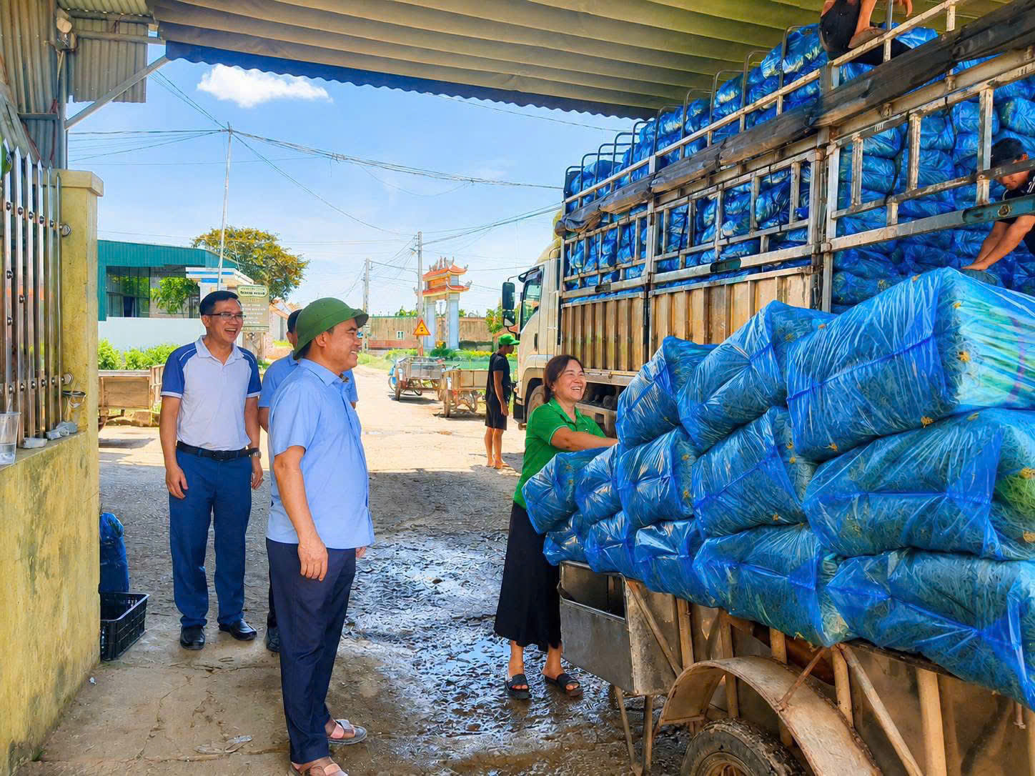 Ông Nguyễn Viết Hùng - Ủy viên Ban Chấp hành Đảng bộ tỉnh, Chủ tịch Hội Nông dân tỉnh thăm mô hình liên kết sản xuất tại xã Quỳnh Anh. Ảnh: CSCC