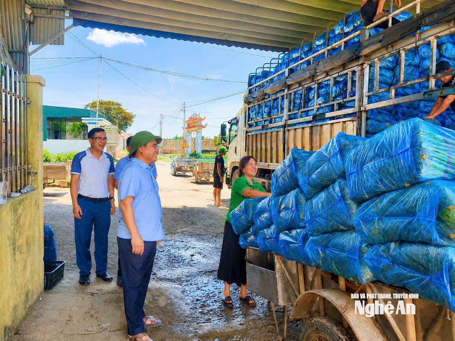chủ tịch Hội Nông dân thăm mô hình