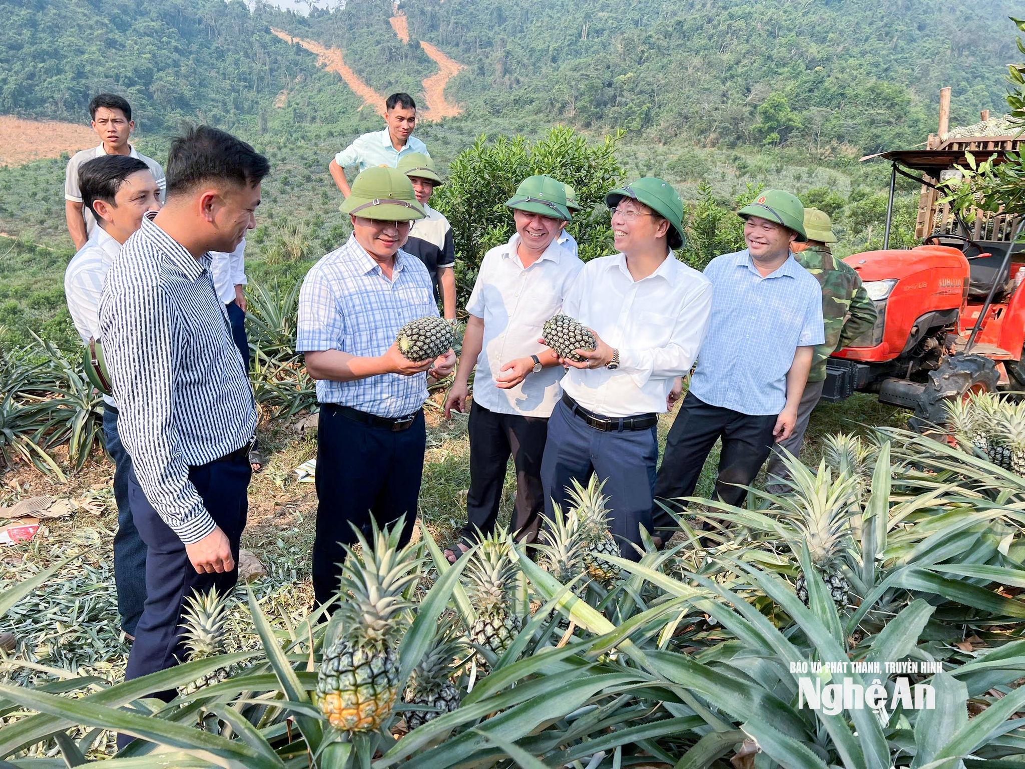 Cán bộ xã Nhôn Mai kiểm tra, đánh giá hiệu quả cây dứa tại bản Chà Lò. Ảnh Mai Hoa