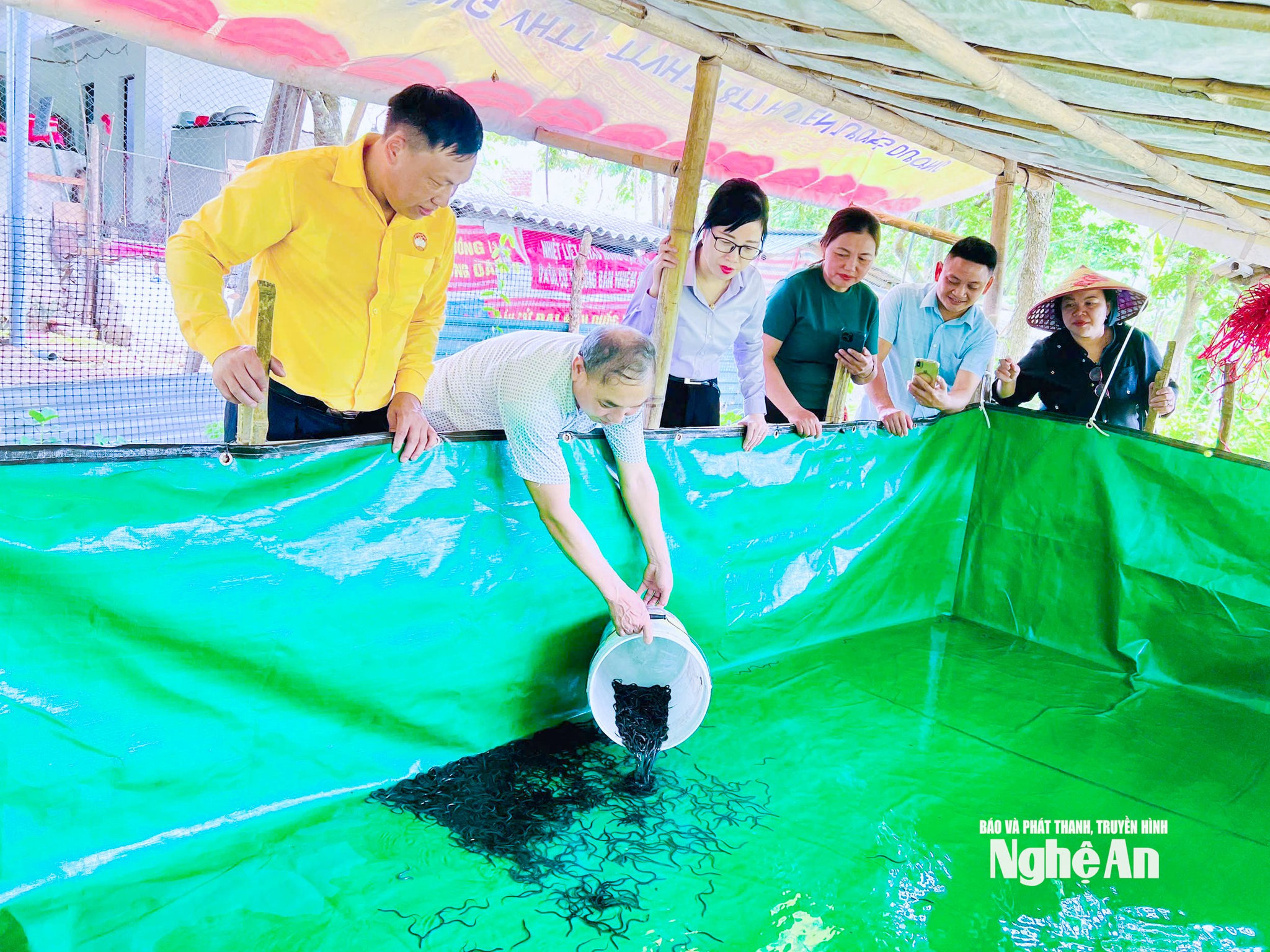 MTTQ xã Tam Thái hỗ trợ xây dựng mô hình sinh kế nuôi lươn không bùn cho người dân