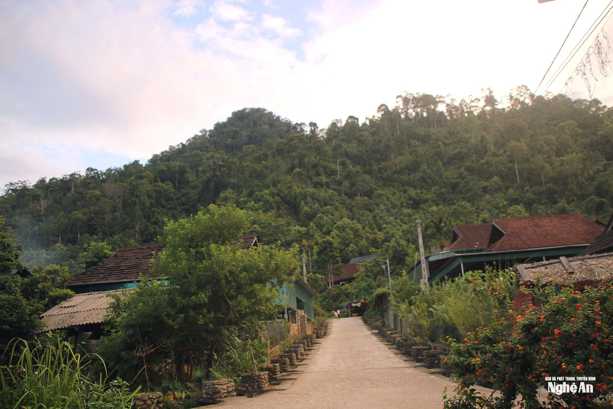 hua-muong(1).jpg