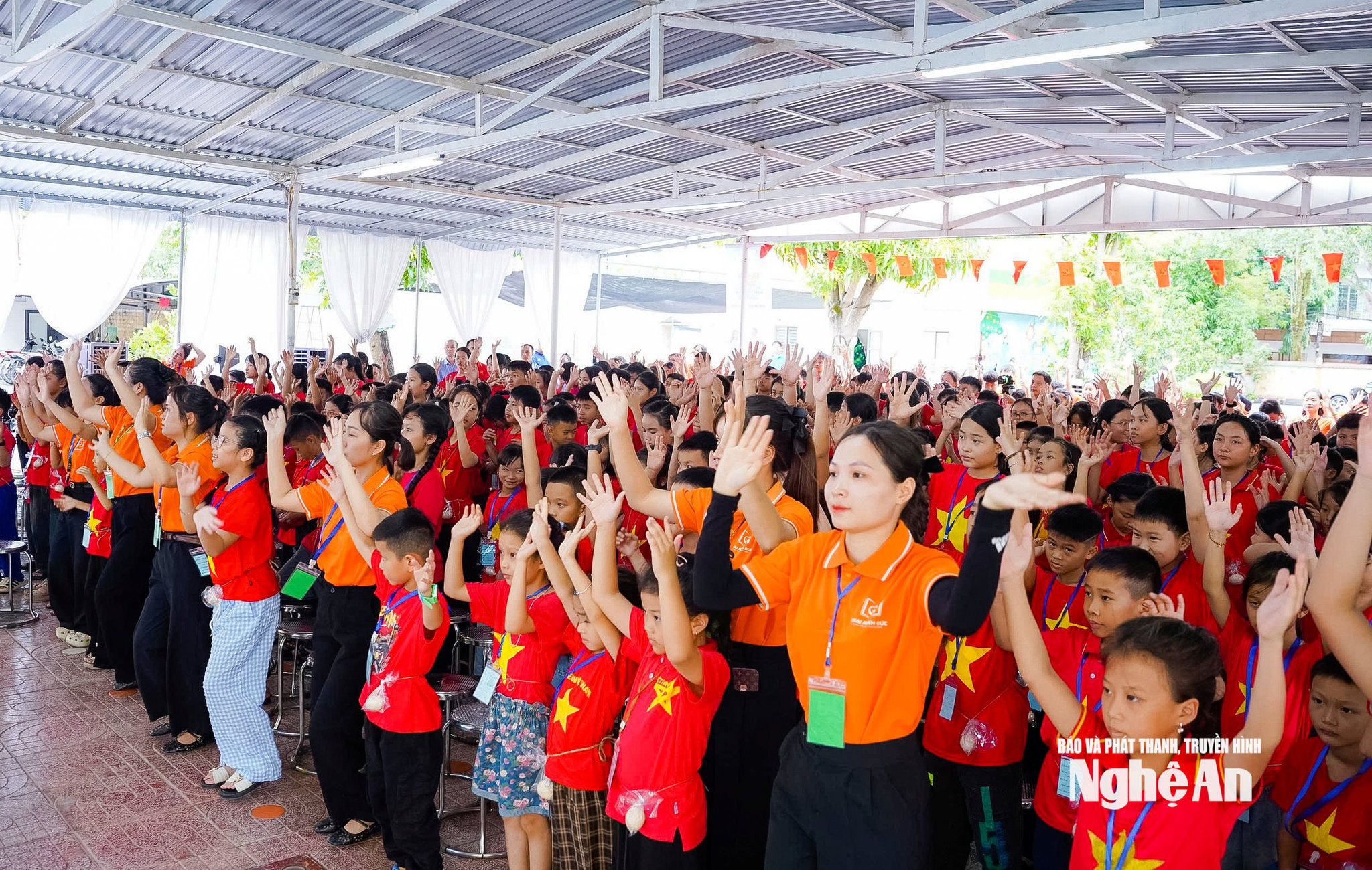  hoạt động