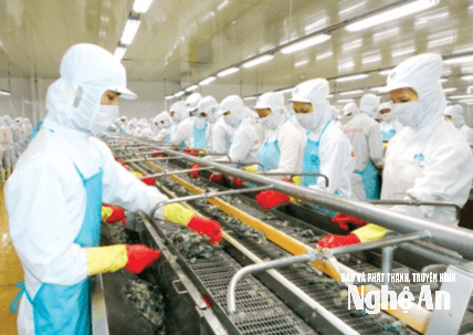 Chế biến thủy sản xuất khẩu. Ảnh: Tư liệu