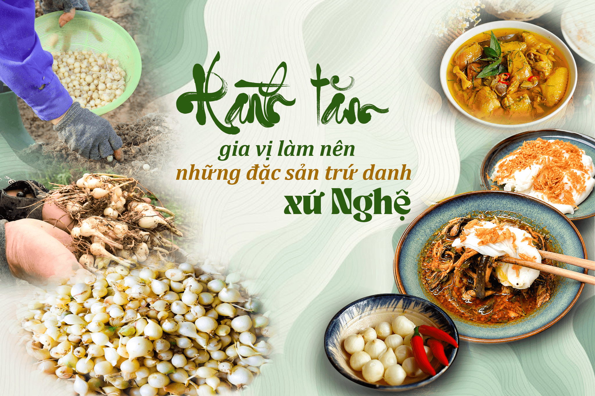hanhtam-cover(1).png