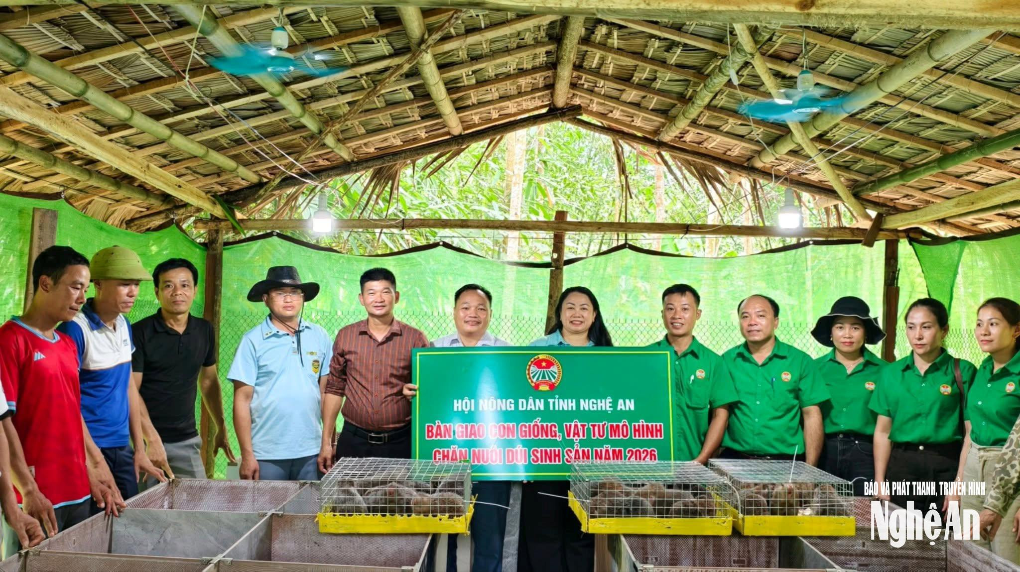 hoi-nong-dan-tinh-nghe-an-trien-khai-xay-dung-mo-hinh-kinh-te-nuoi-dui-sinh-san-tai-xa-yen-hoa.jpg