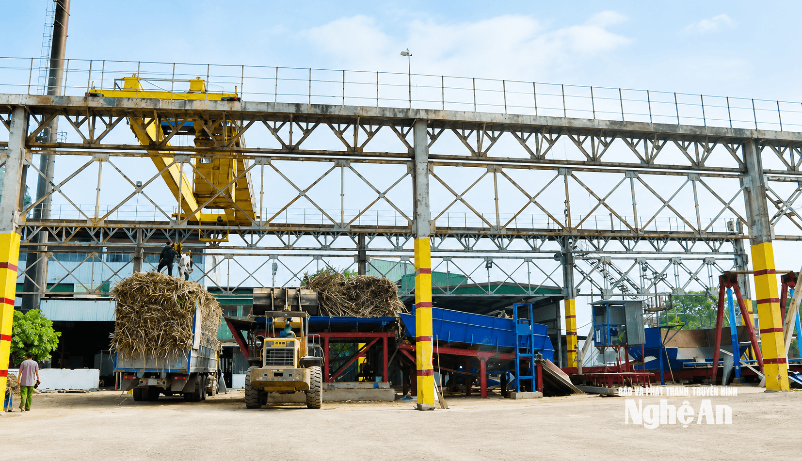 Nguyên liệu mía tại nhà máy đường NASU. Ảnh PV