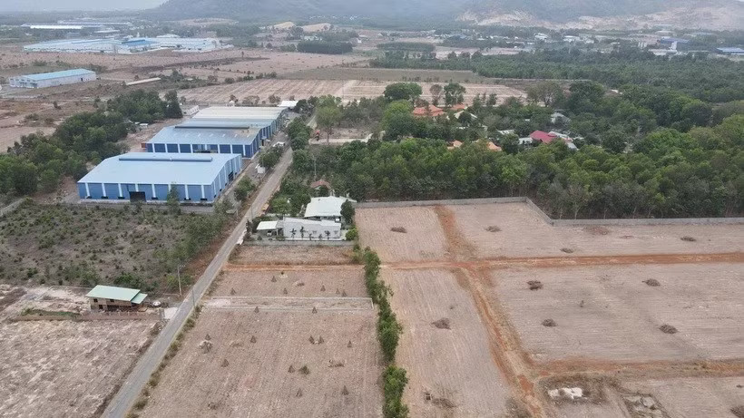 luat-dat-dai-lam-dong-2312.jpg