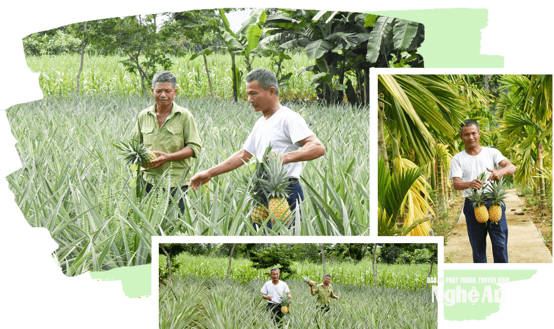bna_anh1(1).png