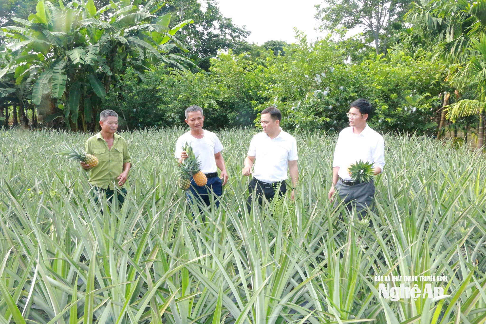 Cán bộ xã Châu Tiến thăm mô hình kinh tế của ông Trần Văn Hiền. Ảnh KL