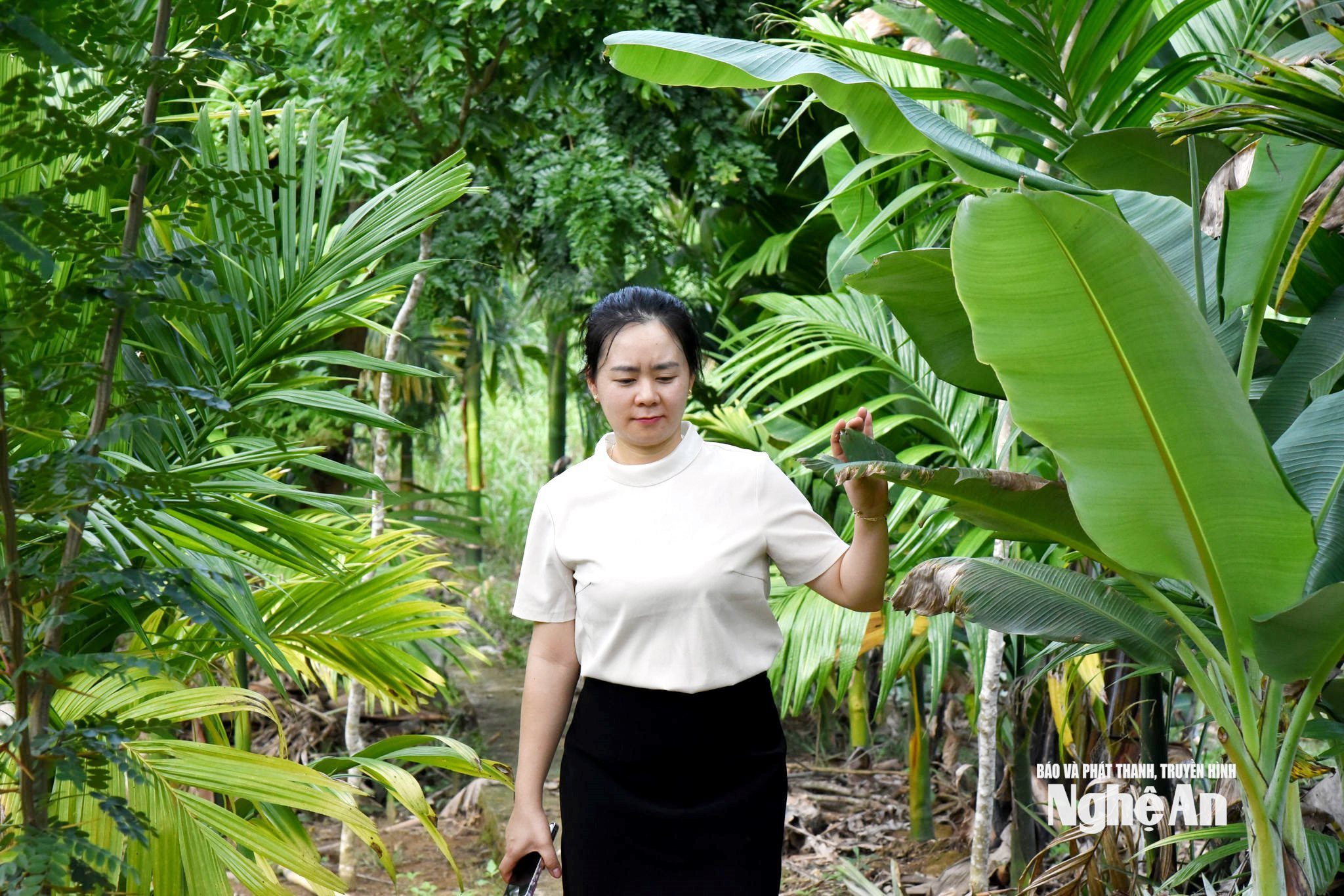 Những góc xanh mướt hấp dẫn người đến tham quan trong khu vườn của gia đình ông Trần Văn Hiền
