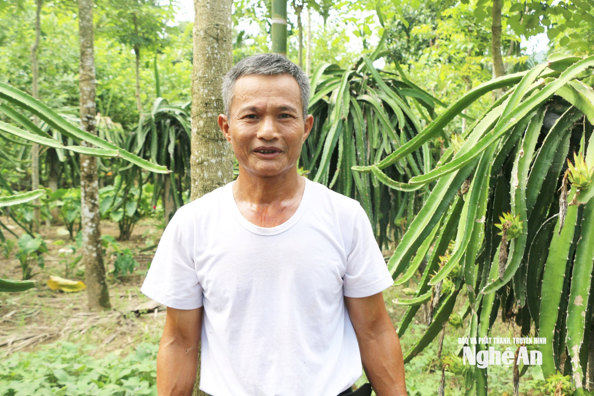 Ông Trần Văn Hiền chia sẻ về hành trình gây dựng gia trại xanh. Ảnh KL