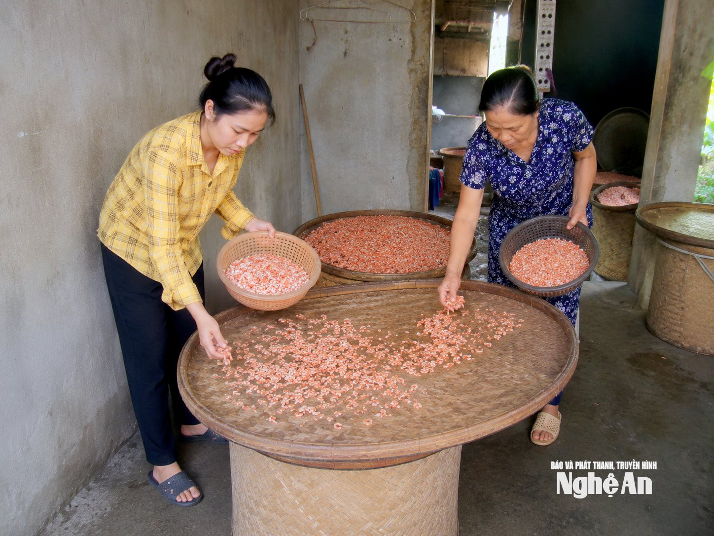 Phơi tôm trên các nong phơi ảnh QA