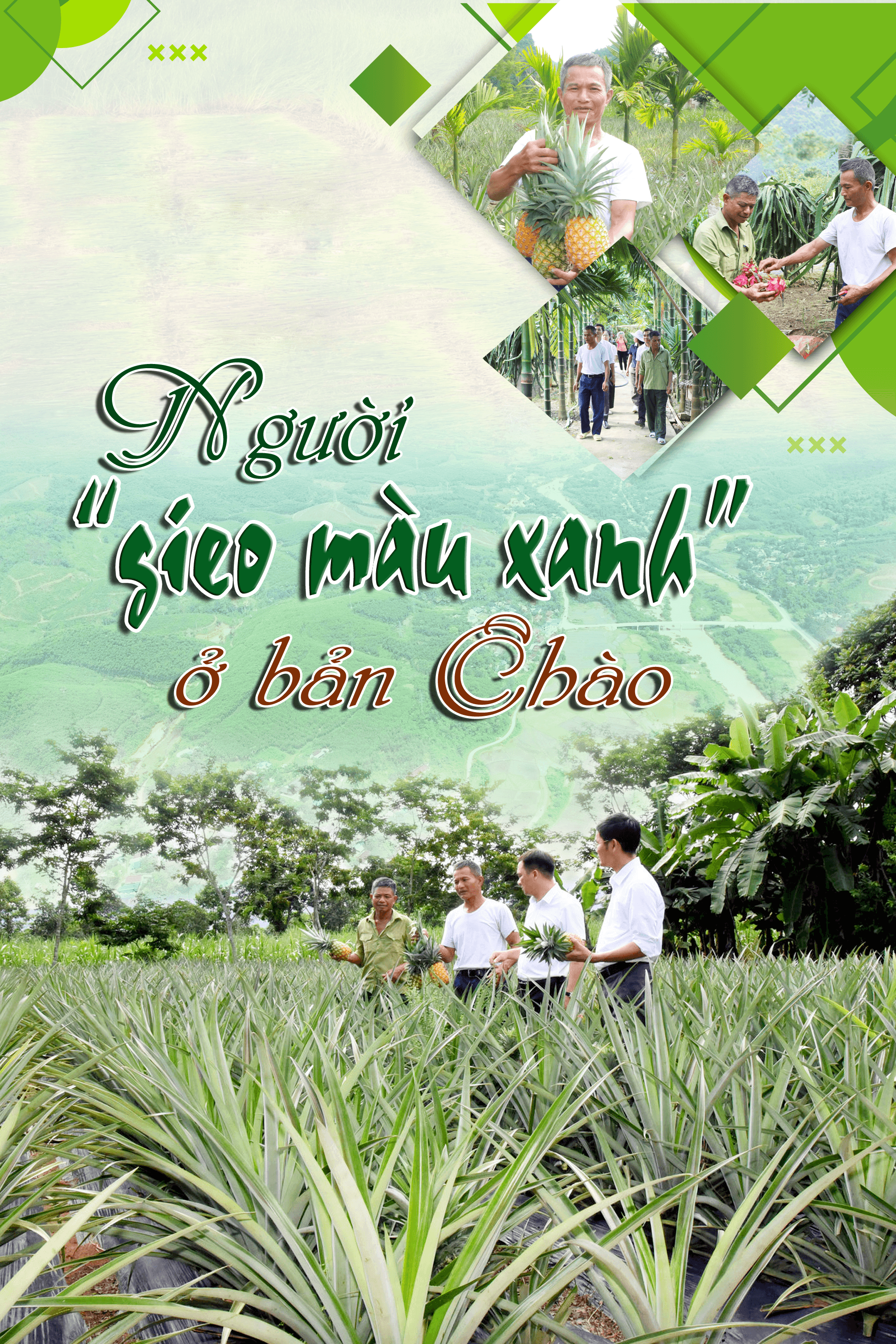 emagazine-banchao.png