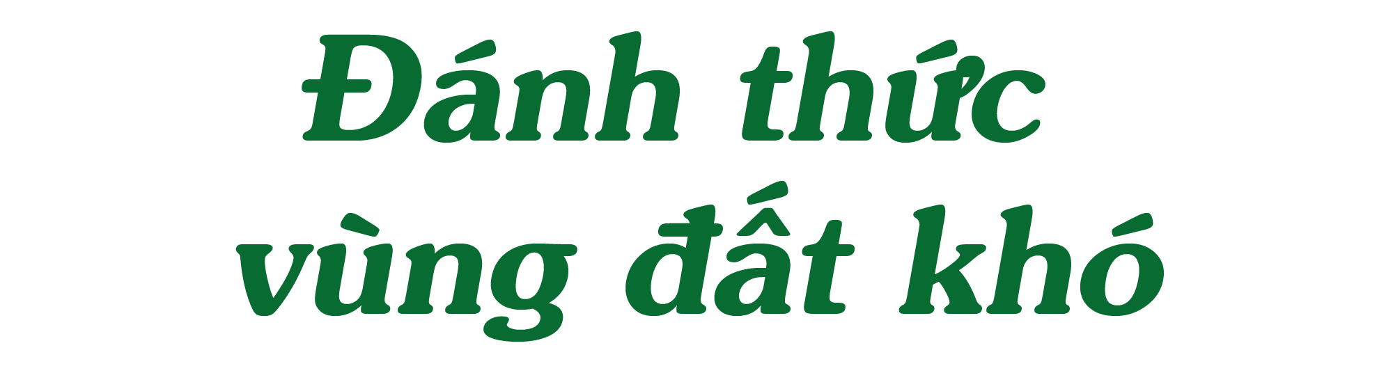 titphu2.png