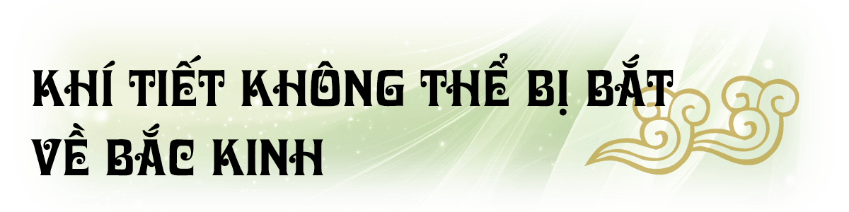 2vituongnguoinghe-t5.png