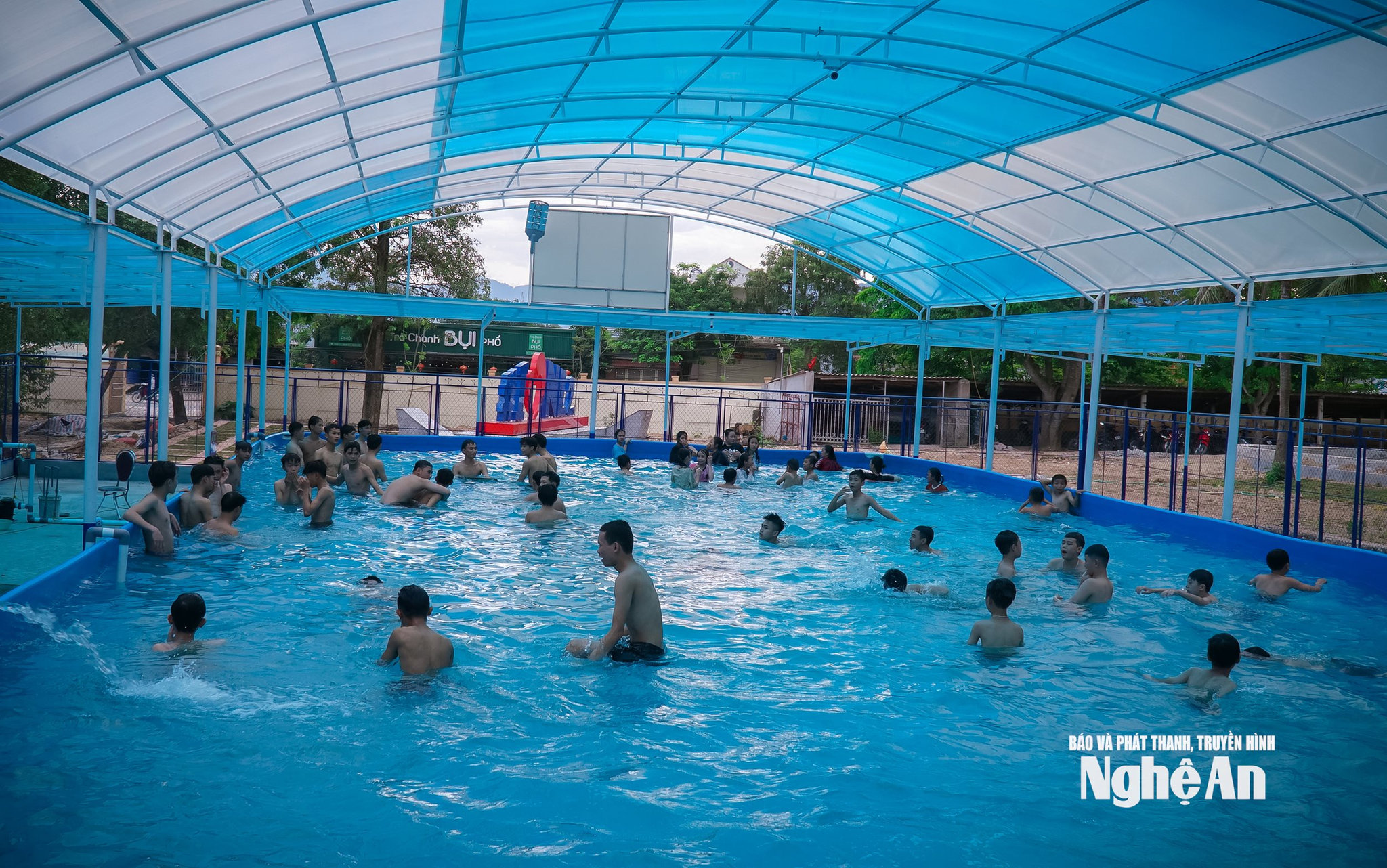 Ảnh tư liệu Mai Hoa