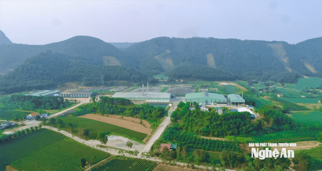 Nhà máy sắn Hoa Sơn