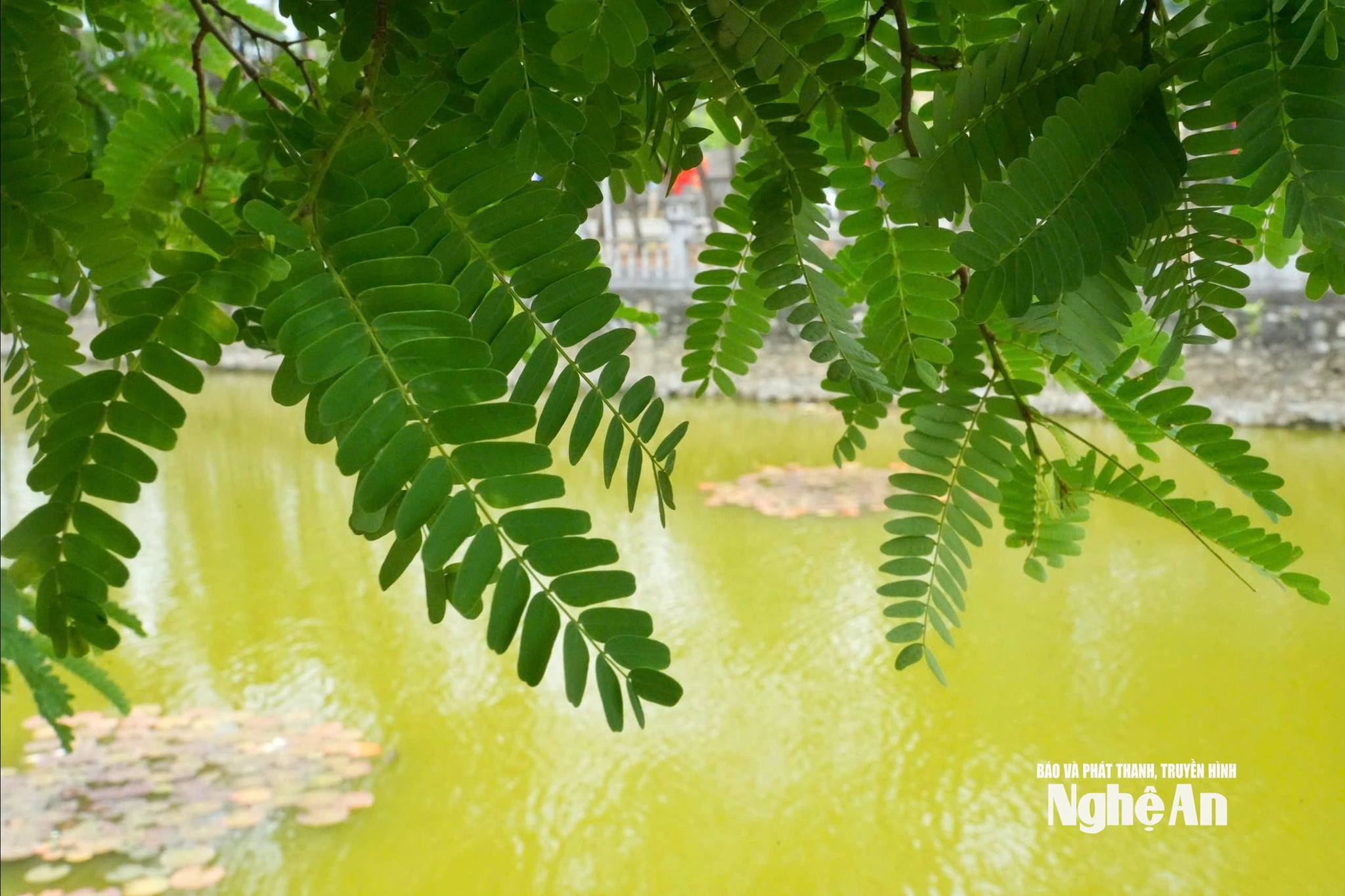 nghĩa trang quốc tế Việt Lào Ảnh Diệp Thanh11