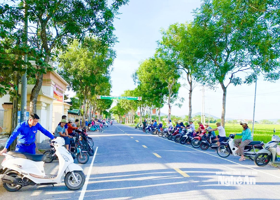 Hàng cây xanh do Hội Cựu chiến binh xã Đông Lộc trồng, chăm sóc. Ảnh Mai Hoa