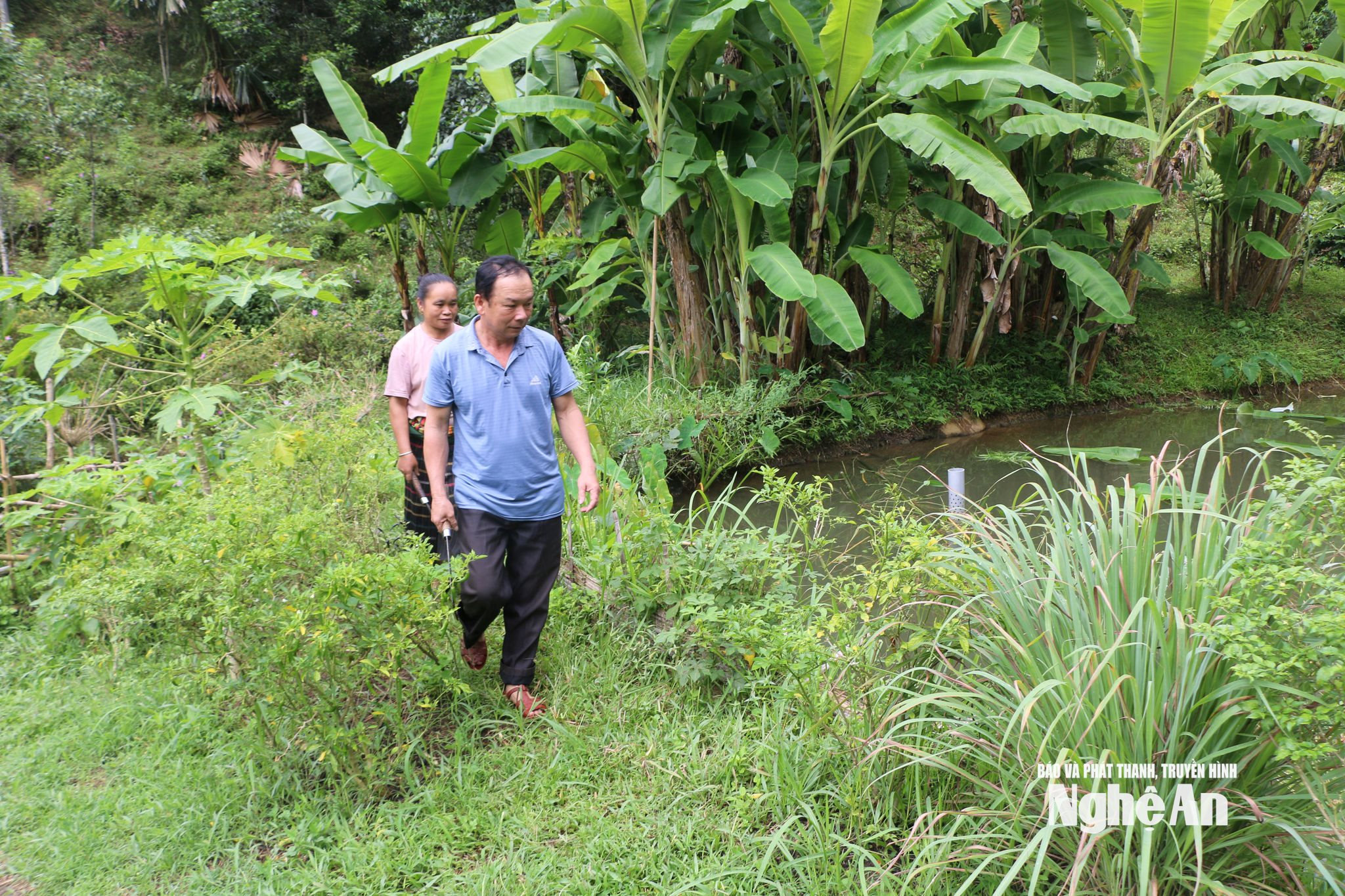 Vợ chồng Ông Hà Văn Bình là tấm gương cần cù trong lao động. Ảnh; KL