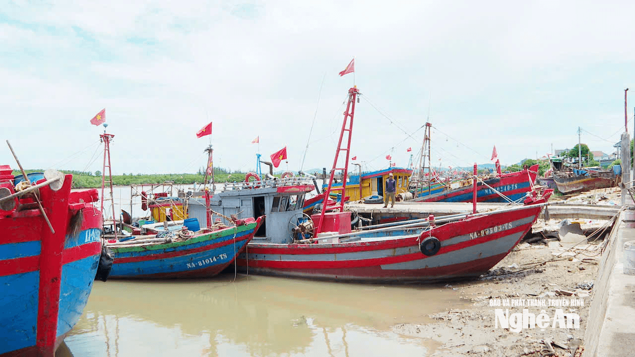 bna_a3(1).png