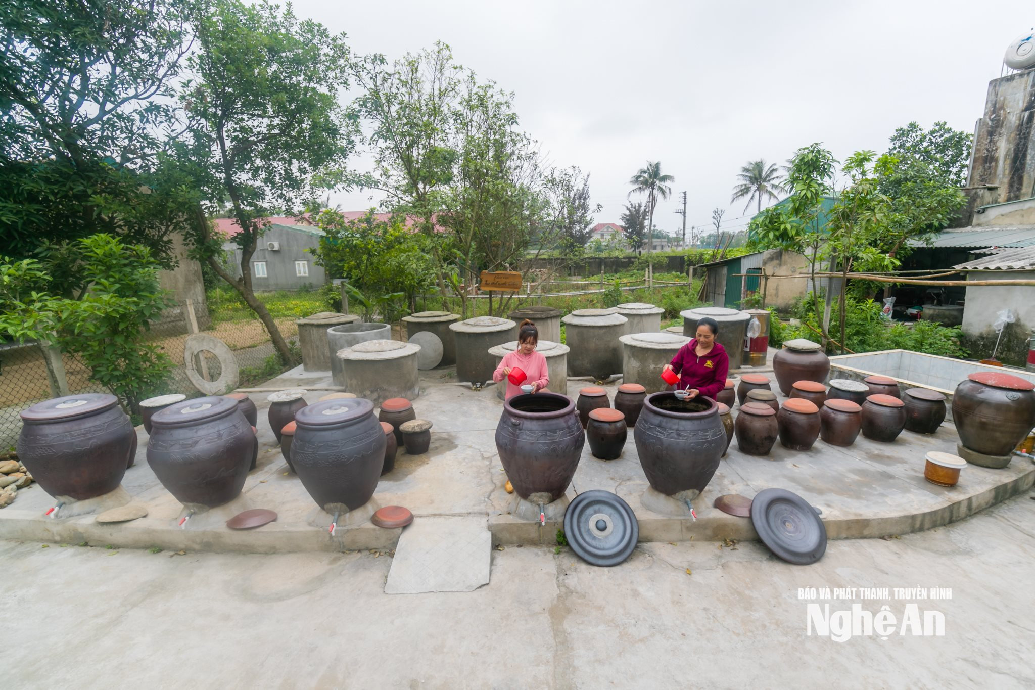 Làng nghề sản xuất nước mắm Hải Giang 1 (phường Cửa Lò). Ảnh Công Kiên