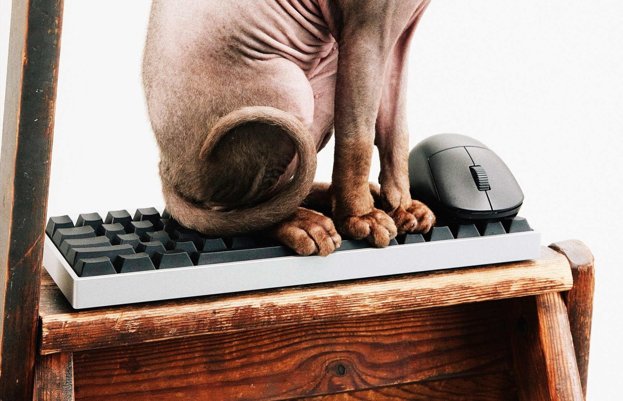 Wallhack is entering the market for gaming keyboards and mice.