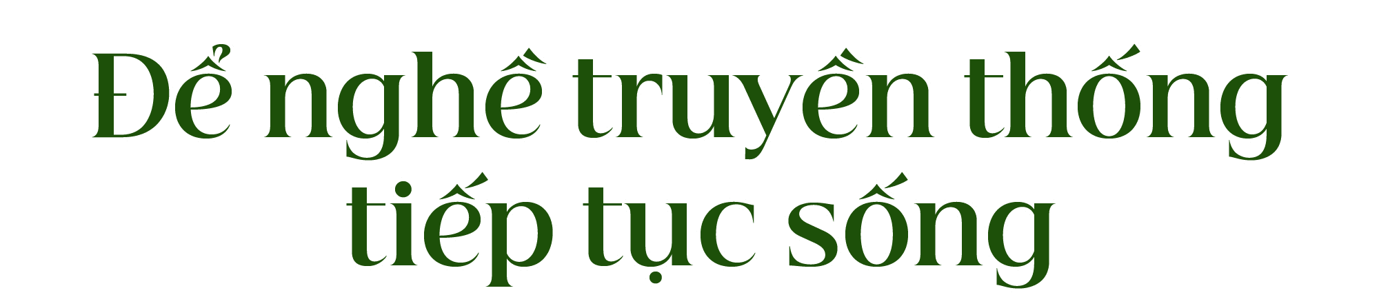 titphu3(1).png