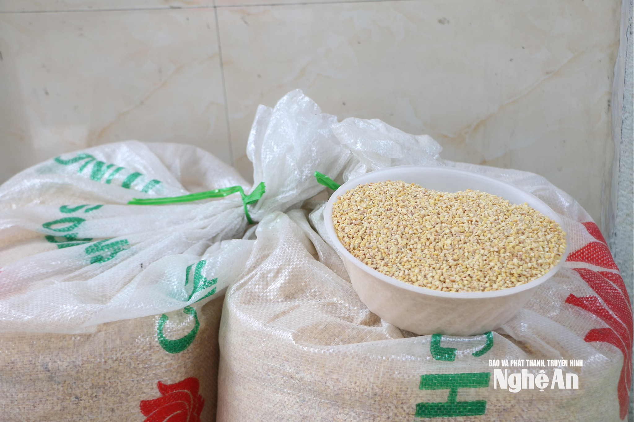 Đậu tương phải là loại hạt tròn, chắc, vàng đều. Ảnh KL