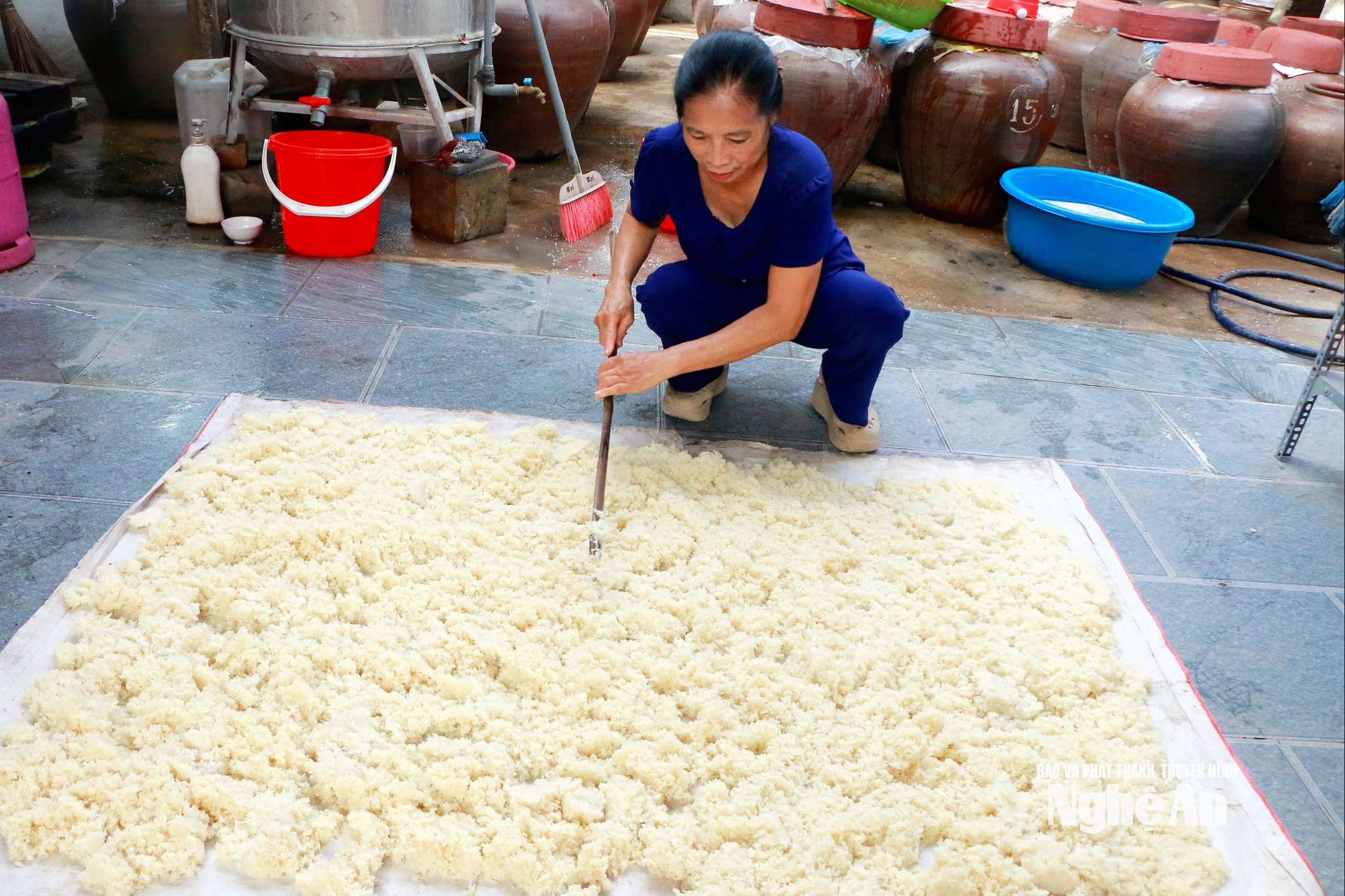 Mốc tương được làm từ nếp hông thành xôi. Ảnh KL