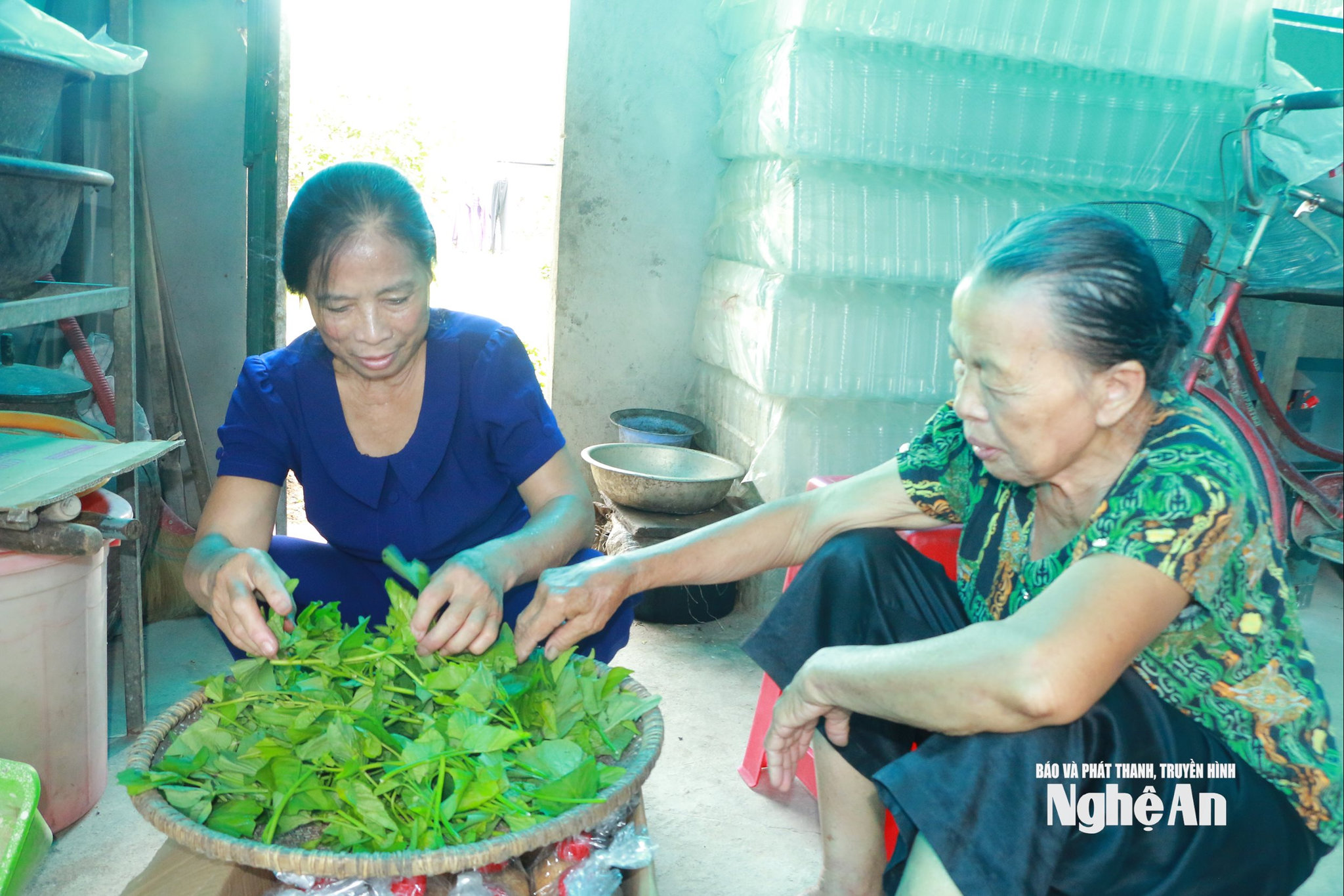 Rau tại vườn, tương tại nhà là món ăn không thể thiếu trong mỗi bữa cơm của người dân Nam Đàn (cũ). Ảnh KL