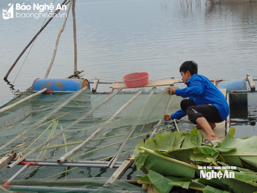  Nuôi thuỷ sản