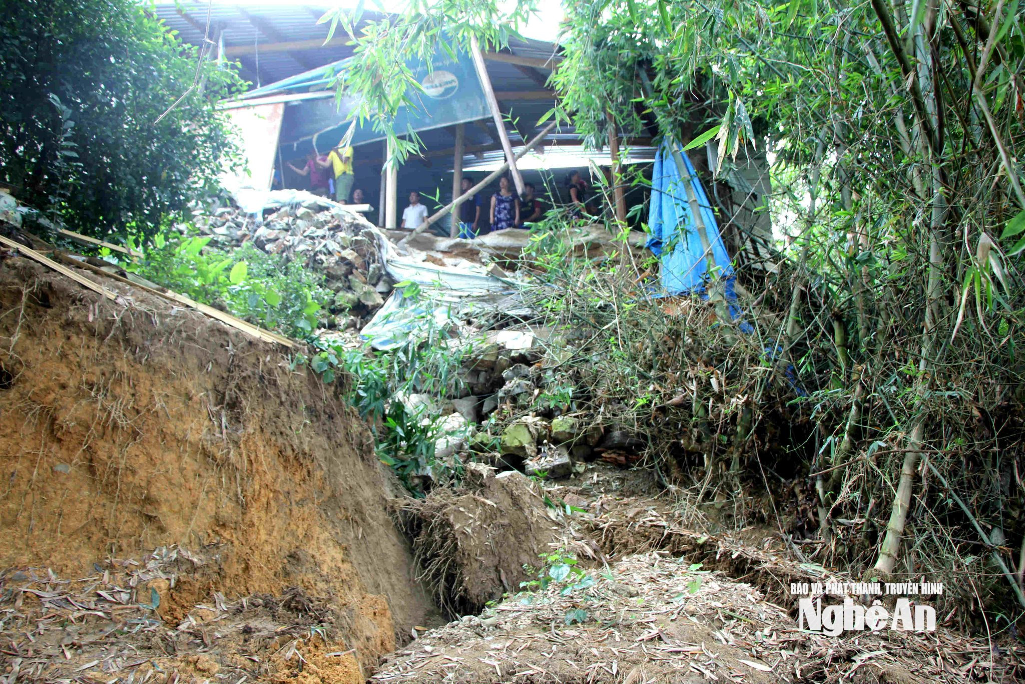 tư liệu 