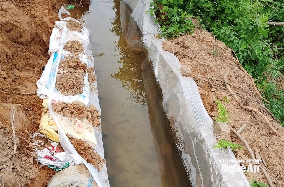 Kênh mương ở xã Nghi Lộc xuống cấp phải dùng ni lông để chống thất thoát nước. Ảnh: Văn Trường