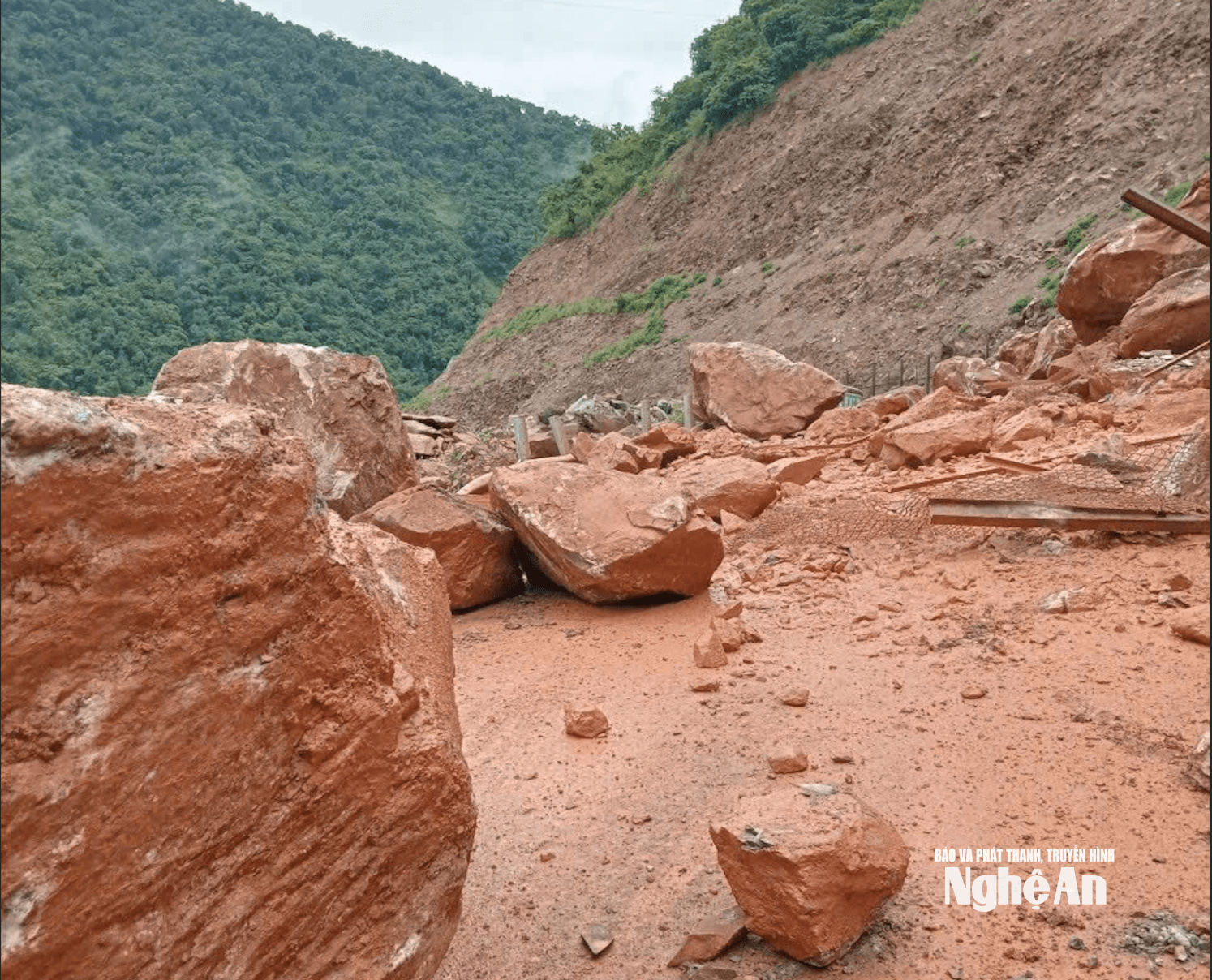 Ảnh màn hình 2026-08-08 lúc 13.46.52