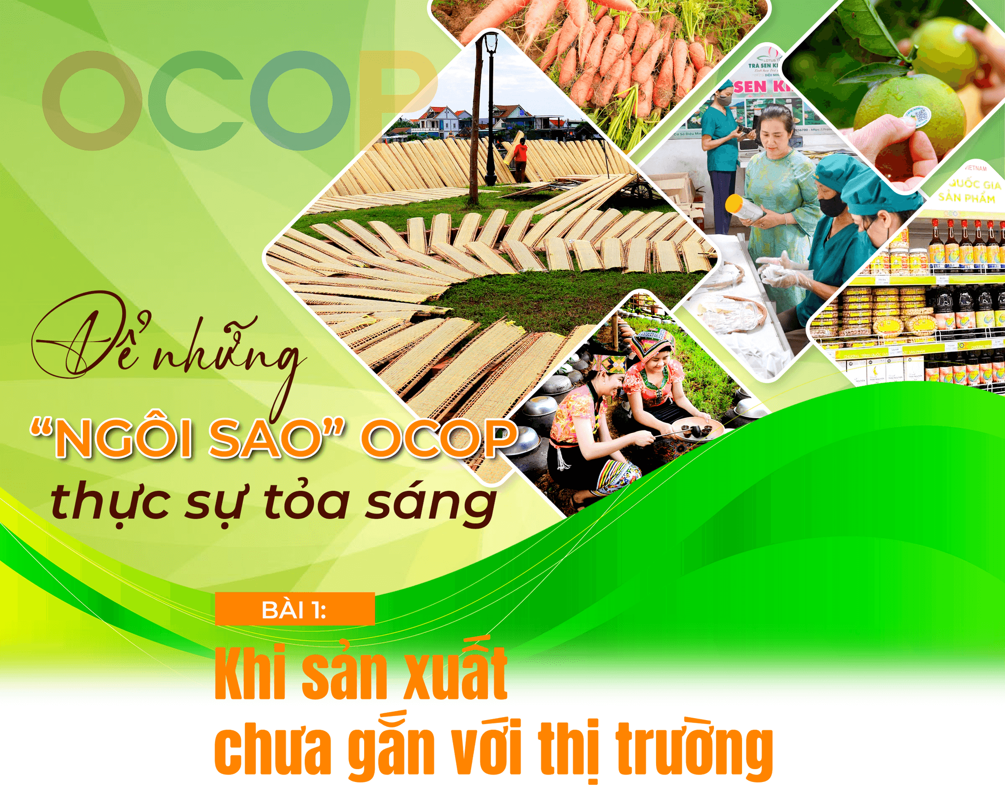 ocop-b1-cover.png