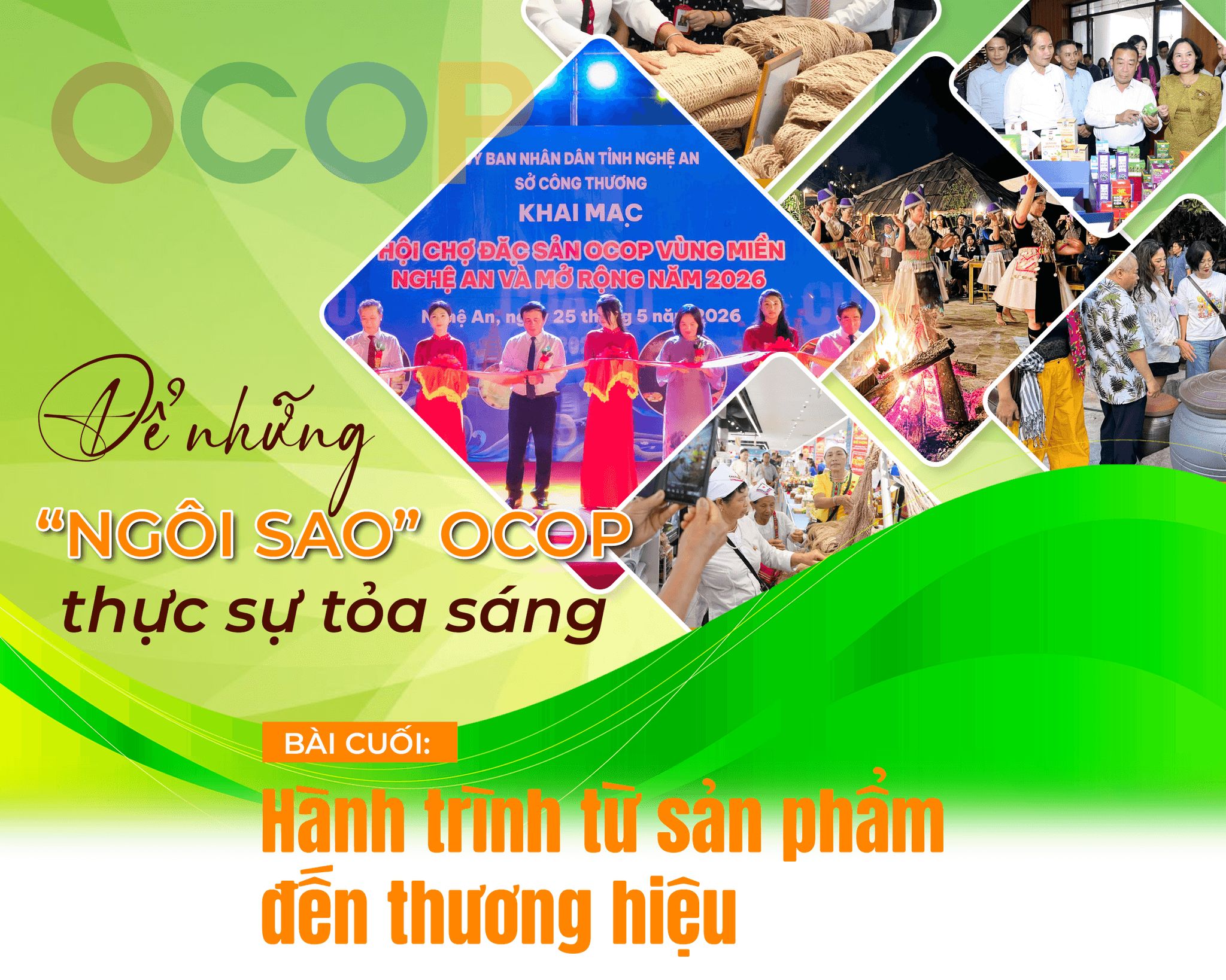 ocop-b2-cover.png