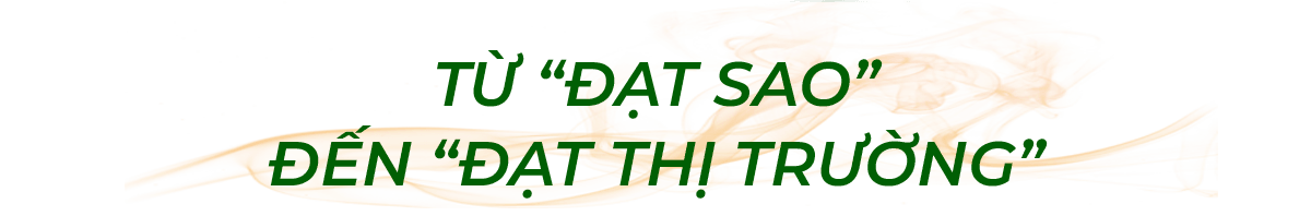 ocop-b2-t3.png