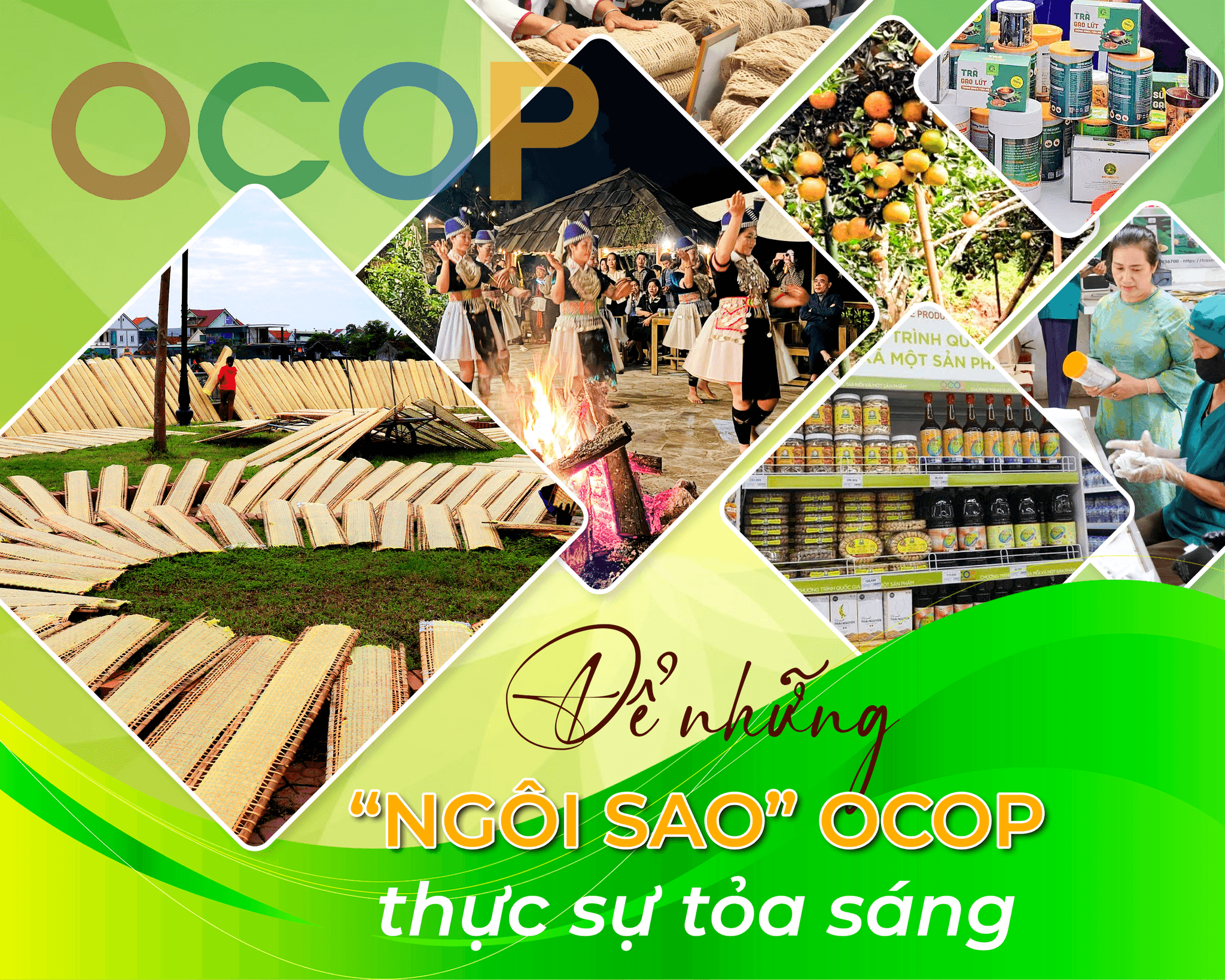 ocop-cover.png