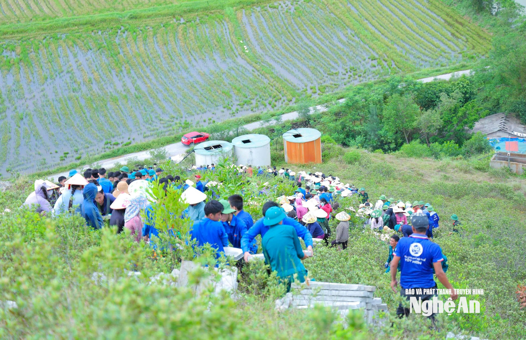 ru nhon, xa lam thanh (29)