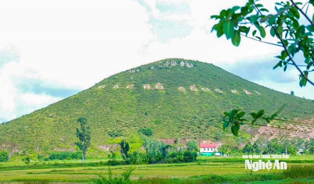 ru nhon, xa lam thanh (30)