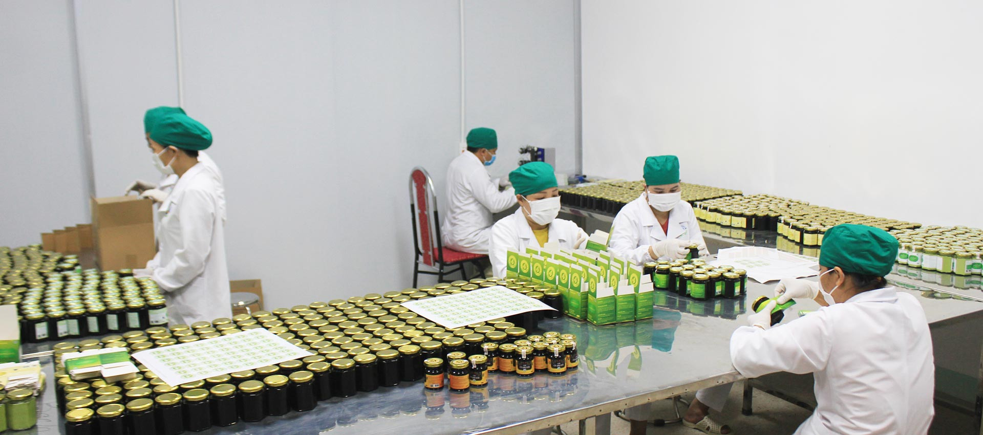 Hạ tầng chế biến và khoa học công nghệ được đầu tư, với định hướng xây dựng 5 nhà máy chế biến dược liệu và Khu lâm nghiệp ứng dụng công nghệ cao, tạo nền tảng nâng giá trị vùng nguyên liệu. Ảnh: CSCC