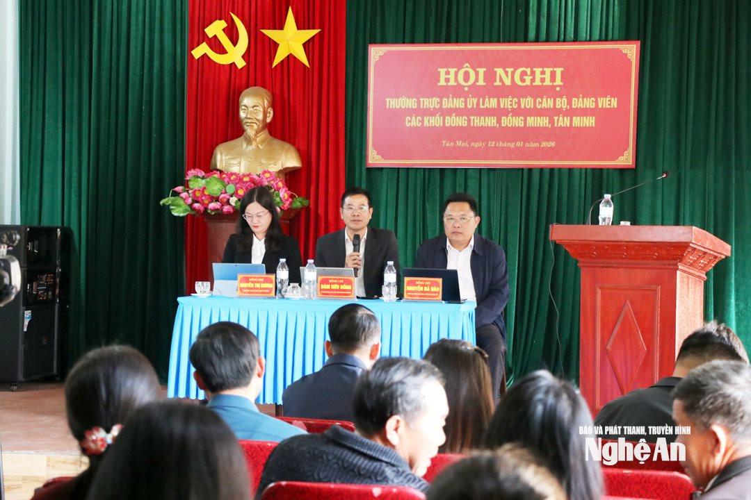 bna_thuong-truc-dang-uy-phuong-tan-mai-lam-viec-voi-can-bo-va-nhan-dan-cac-khoi-bi-anh-huong-boi-du-an-nha-may-nhiet-dien-lng-quynh-lap.-anh-khanh-ly-b4506569b3fcef1909153cd0d5c22a97.jpg
