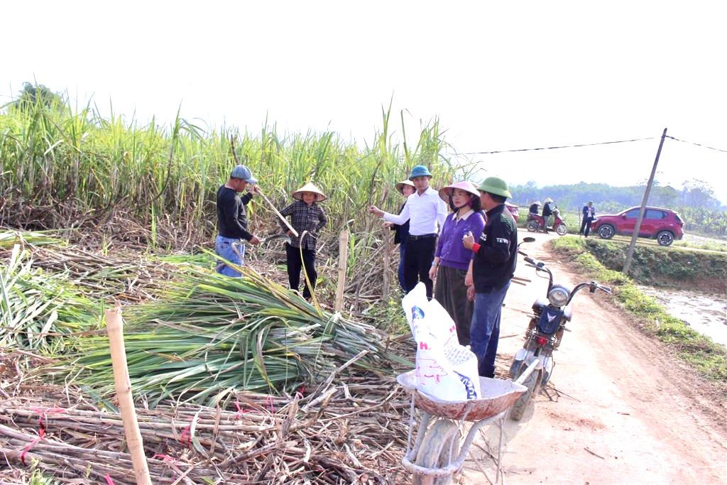 d-c-nguyen-thi-thuy-an-bi-thu-dang-uy-ct-hdnd-xa-truc-tiep-kiem-tra-san-xuat.-anh-cscc(1).jpg